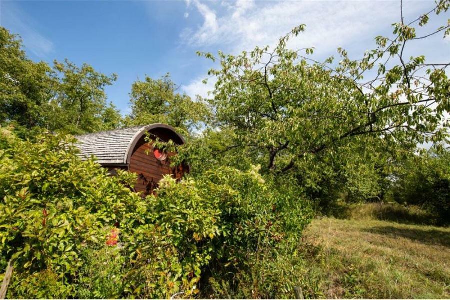 Le Chalet Du Chemin Et Sa Roulotte Berviller-en-Moselle Exterior photo