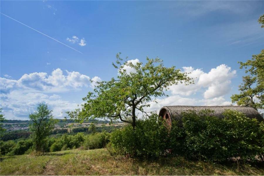 Le Chalet Du Chemin Et Sa Roulotte Berviller-en-Moselle Exterior photo