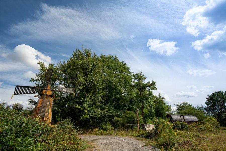 Le Chalet Du Chemin Et Sa Roulotte Berviller-en-Moselle Exterior photo